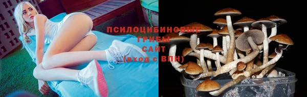 мяу мяу мука Ельня