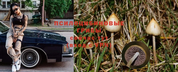 2c-b Елизово