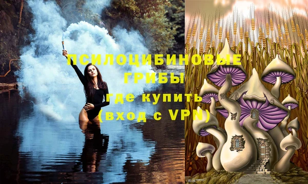 a pvp Елабуга