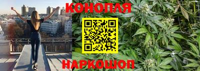 mdma Гатчина
