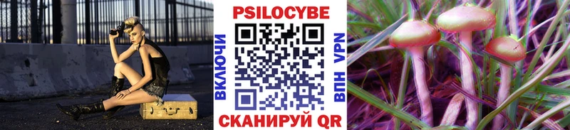 маркетплейс как зайти как найти Нарткала Галлюциногенные грибы прущие грибы