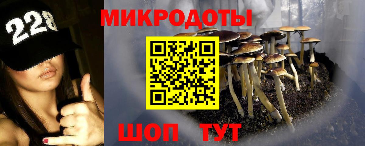 Галлюциногенные грибы Cubensis Нарткала